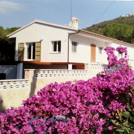 Villa Felices Juntos Platja d'Aro Exteriér fotografie